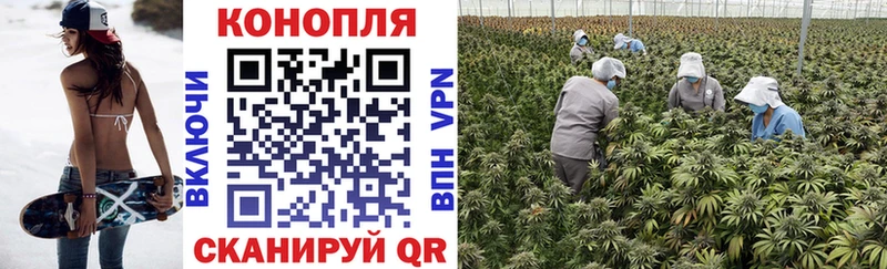 Цена Михайловка Марихуана Альфа ПВП АМФ МДМА Гашиш