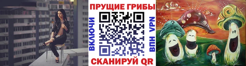Псилоцибиновые грибы Magic Shrooms  Михайловка 